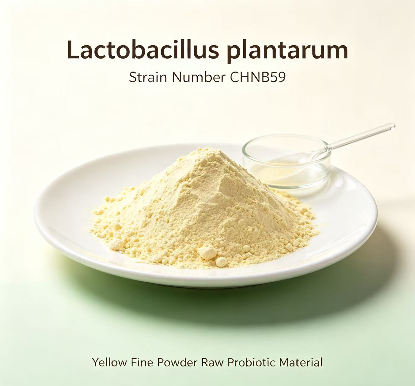 Lactobacillus plantarum CHNB59