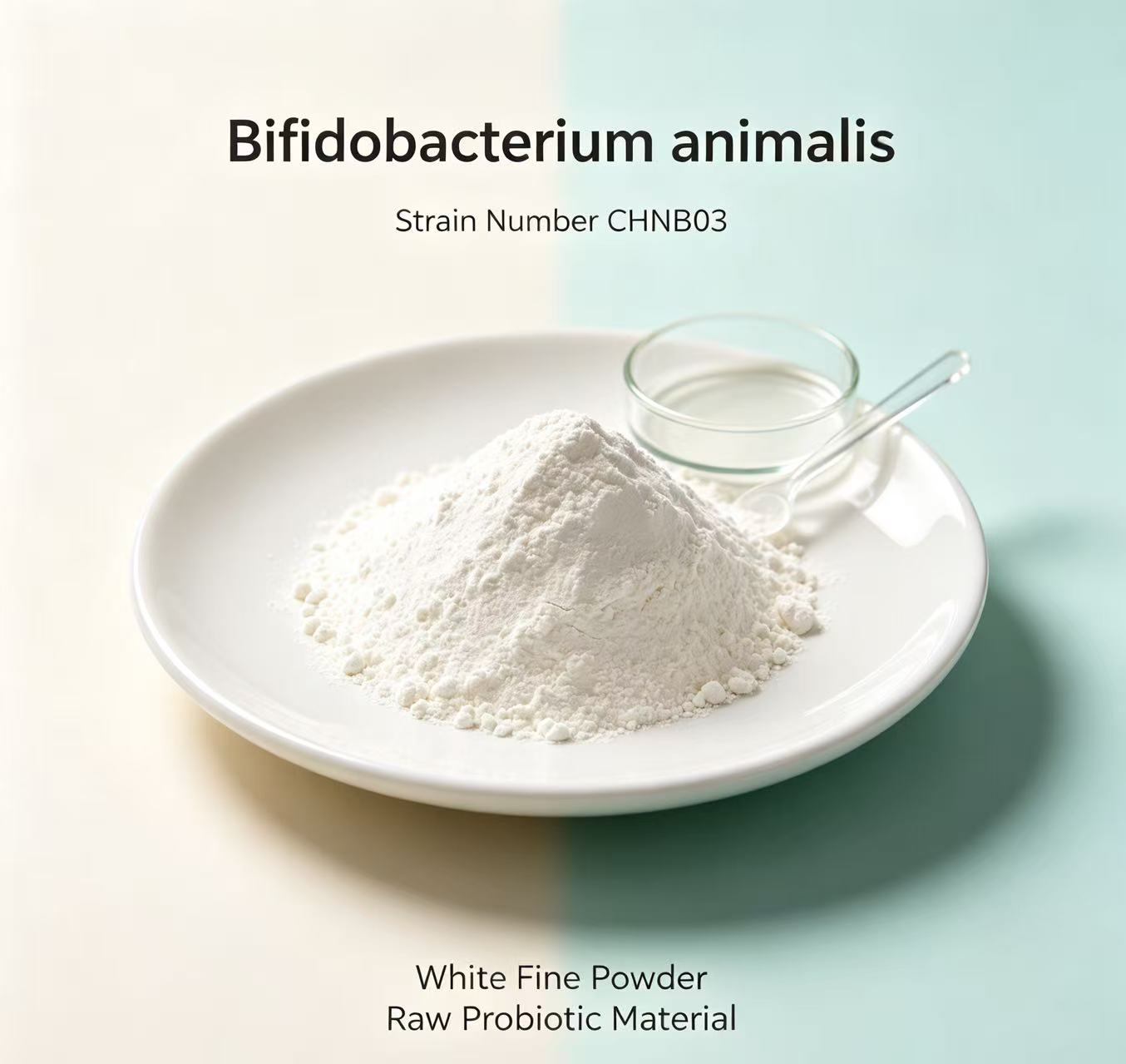 Bifidobacterium animalis