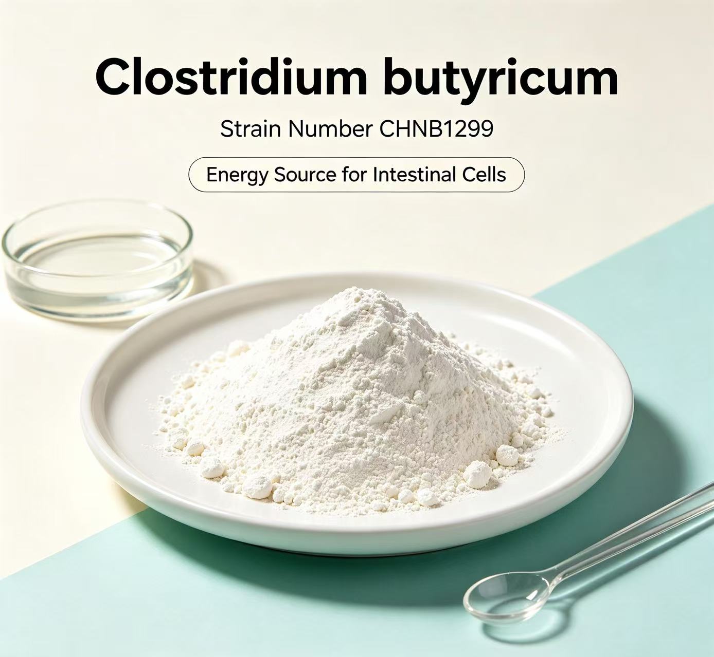 Clostridium butyricum